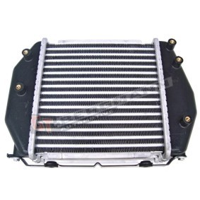 Köp Intercooler av GT-BERGMANN GTRF5C13565 till det låga priset 919,93 kr