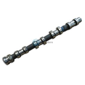 Nockenwelle 10013000104