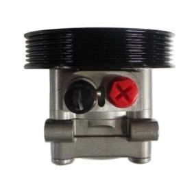 Servopumpe 52850