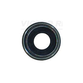 Comprar Retén de válvulas de REINZ 70-21975-00 a bajo precio de 4,82 €