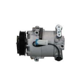 Acquista Compressore aria condizionata da BV PSH 090.225.001.261 a buon mercato per soli 374,36 €
