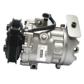 Klimakompressor von ROTOVIS Automotive Electrics