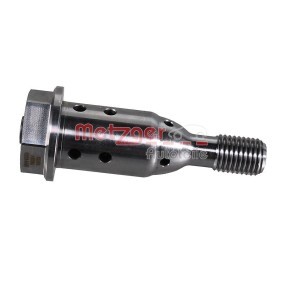 Acquista Valvola di comando per regolazione albero a camme da METZGER 2411058 a buon mercato per soli 78,70 €