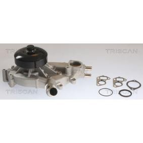 Achetez des Pompe à eau TRISCAN 8600 80022 à prix pour 242,77 €