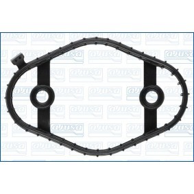 Dichtung, Kraftstoffpumpe 01725500