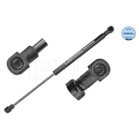 Comprar Amortiguador de maletero de MEYLE 140 910 0120 a bajo precio de 16,00 €