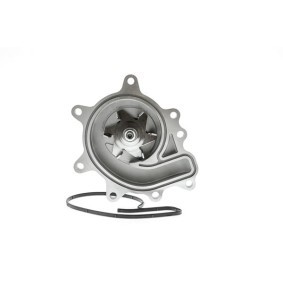 Wasserpumpe von AISIN für D-MAX III (RG01) günstig online kaufen