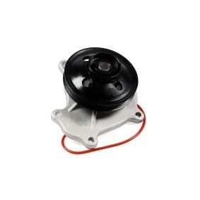 Wasserpumpe P7873 LEXUS LM von HEPU