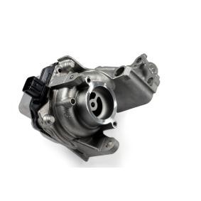 Wasserpumpe von HEPU für RX V (AL30) günstig online kaufen