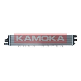 Kühler, Motorkühlung 7700058