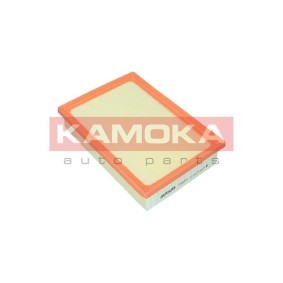 Luftfilter F259801