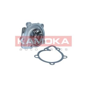 Osta Vesipumppu KAMOKA:llä T0311 edullisesti hintaan 30,52 €