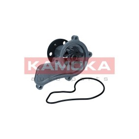 Achetez des Pompe à eau KAMOKA T0314 à prix pour 39,42 €