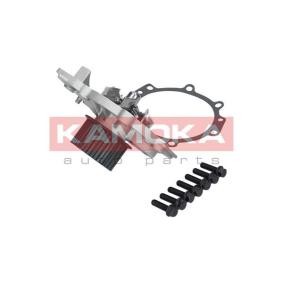 Achetez des Pompe à eau KAMOKA T0322 à prix pour 56,52 €