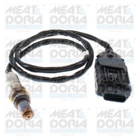 NOx-Sensor, NOx-Katalysator von MEAT & DORIA