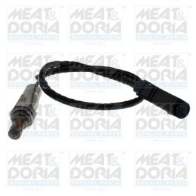 Lambdasonde von MEAT & DORIA