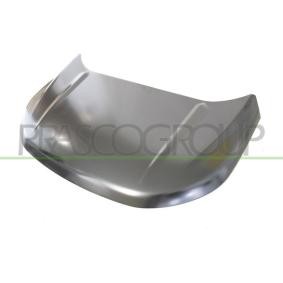 Motorhaube FD8103110