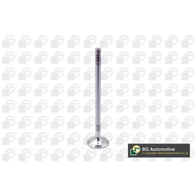 Comprar Válvula de escape de BGA V203633 a bajo precio de 21,12 €