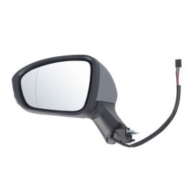 Acquista Specchietto retrovisore esterno da BLIC 5402-09-2313312P a buon mercato per soli 145,22 €