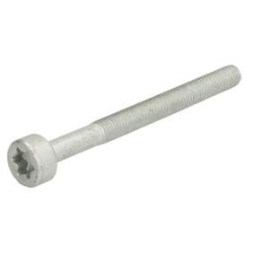 Schraube, Einspritzdüsenhalter ENT250578