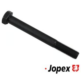 Befestigungsbolzen, Querlenker 1140153100