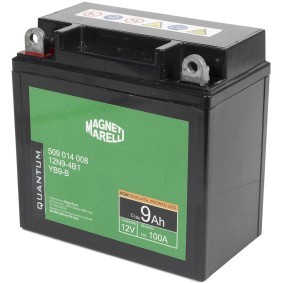 Batterie 10832