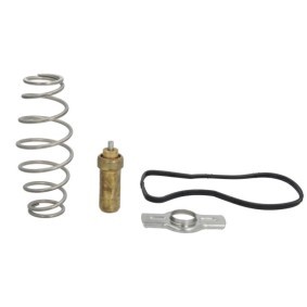 Thermostat des Herstellers LEMA - Originalware Artikelnummer: 451184