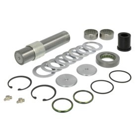 Achetez des Kit d'assemblage, pivot de fusée d'essieu LEMA 310 à prix pour 65,78 €