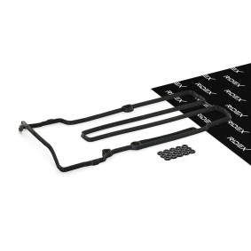Achetez des Jeu de joints d'étanchéité, couvercle de culasse RIDEX 979G0255 à prix pour 39,62 €