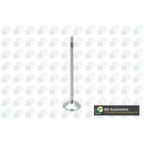 Osta Imuventtiili BGA:llä V200610 edullisesti hintaan 27,18 €