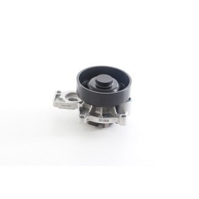 Achetez des Pompe à eau BSG BSG 15-500-046 à prix pour 67,44 €
