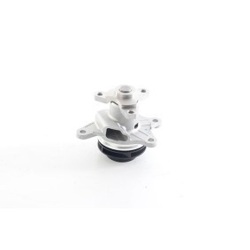 Achetez des Pompe à eau BSG BSG 75-500-012 à prix pour 53,20 €