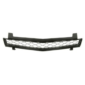 Kühlergrill 6502-07-1189993P