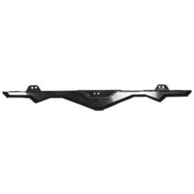 Halter, Kühlergitter 6502-07-2953910P