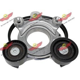 Compre Polea inversión / guía, correa poli v de AUTOKIT online para Range Rover V (L460) a precios moderados