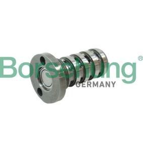 Acquista Valvola centrale, Regolazione albero a camme da Borsehung B12123 a buon mercato per soli 46,95 €