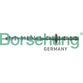 Acquista Regolatore albero a camme da Borsehung B12296 a buon mercato per soli 429,25 €