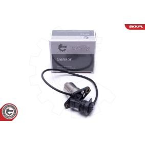 Sensor, Motorölstand 17SKV739