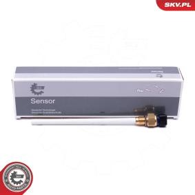 Sensor, Motorölstand 17SKV752