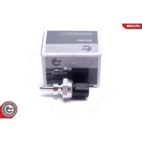 Differenzdrucksensor 17SKV783