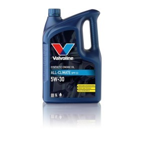 Comprar Aceite de motor de Valvoline 898939 a bajo precio de 57,36 €