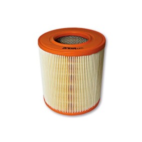 Luftfilter P121031
