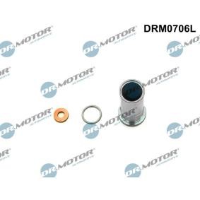 Acquista Kit riparazione, Iniettore da DR.MOTOR AUTOMOTIVE DRM0706L a buon mercato per soli 13,41 €