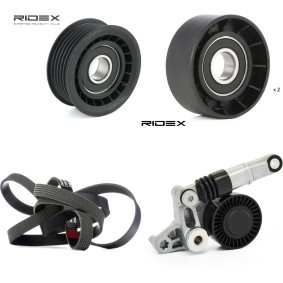 Achetez des Jeu de courroies trapézoïdales à nervures RIDEX 542R1202 à prix pour 125,81 €