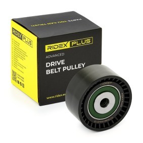 Achetez des Poulie renvoi / transmission, courroie trapézoïdale à nervures de chez RIDEX PLUS en ligne pour Talento Van (296) à prix modérés