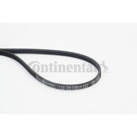 Acquista Cinghia servizi da CONTITECH online per Tourneo Custom V710 Bus (NXN) a prezzi moderati