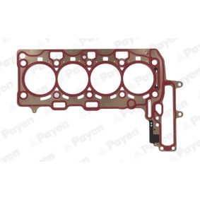 Acquista Guarnizione testata da PAYEN AH8190 a buon mercato per soli 76,25 €