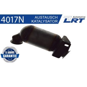 Katalysator 4017N