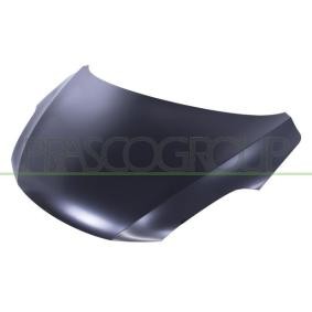 Motorhaube SZ0123100