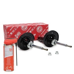 Stoßdämpfer 16K002541P für 207 (WA_, WC_) für 85,14 CHF